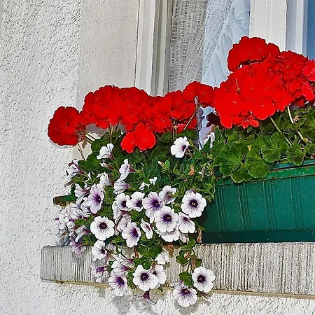 Guest house Gaestehaus Klingele *